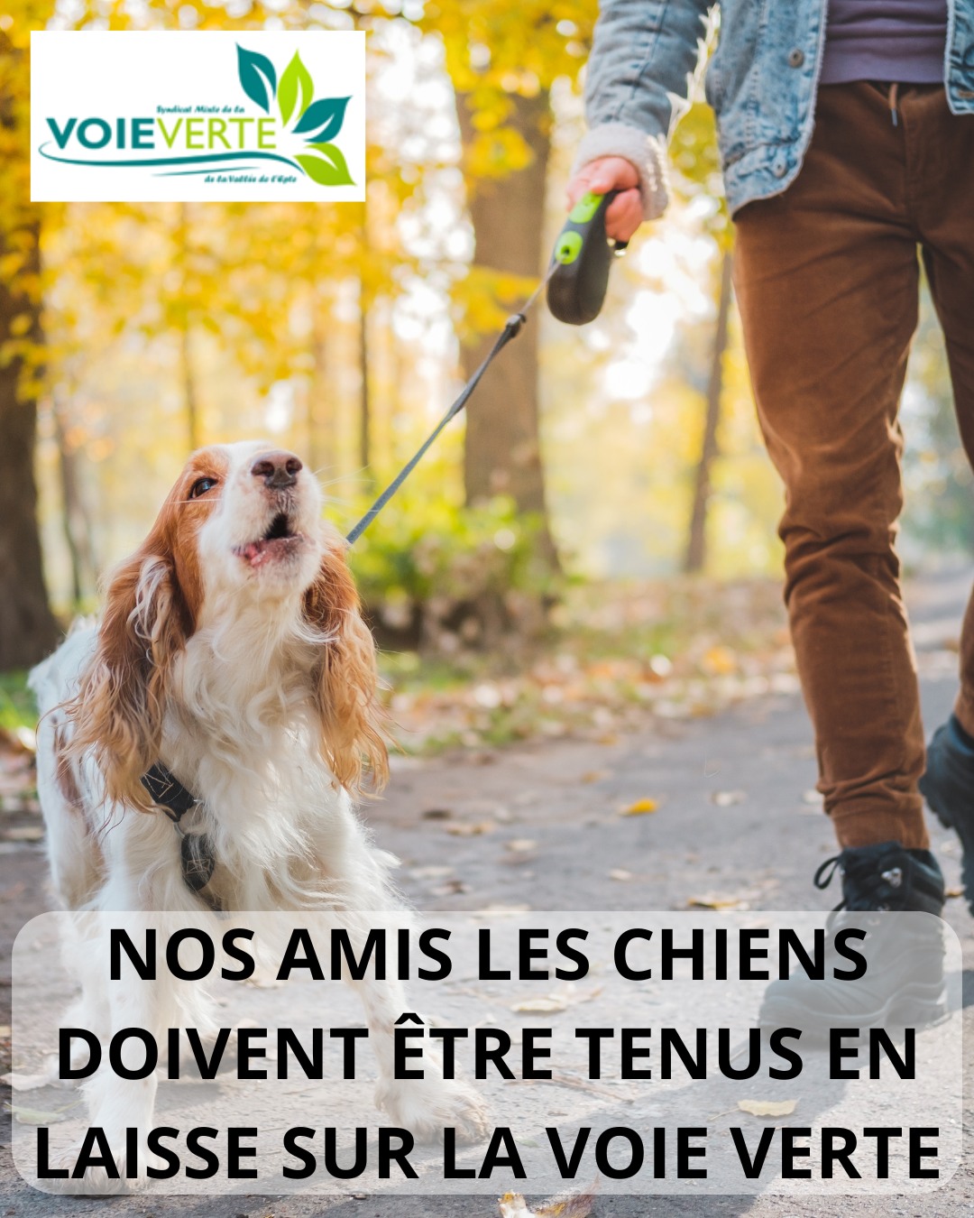 INFO VOIE VERTE CHIENS EN LAISSE